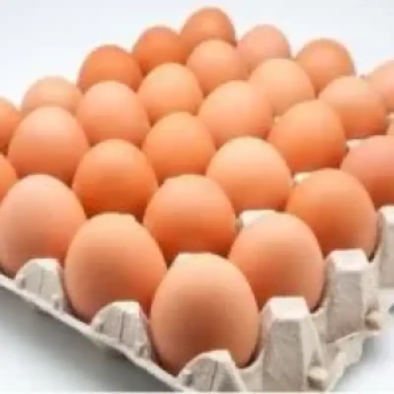 Eggs